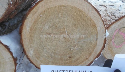 Используемые породы древесины